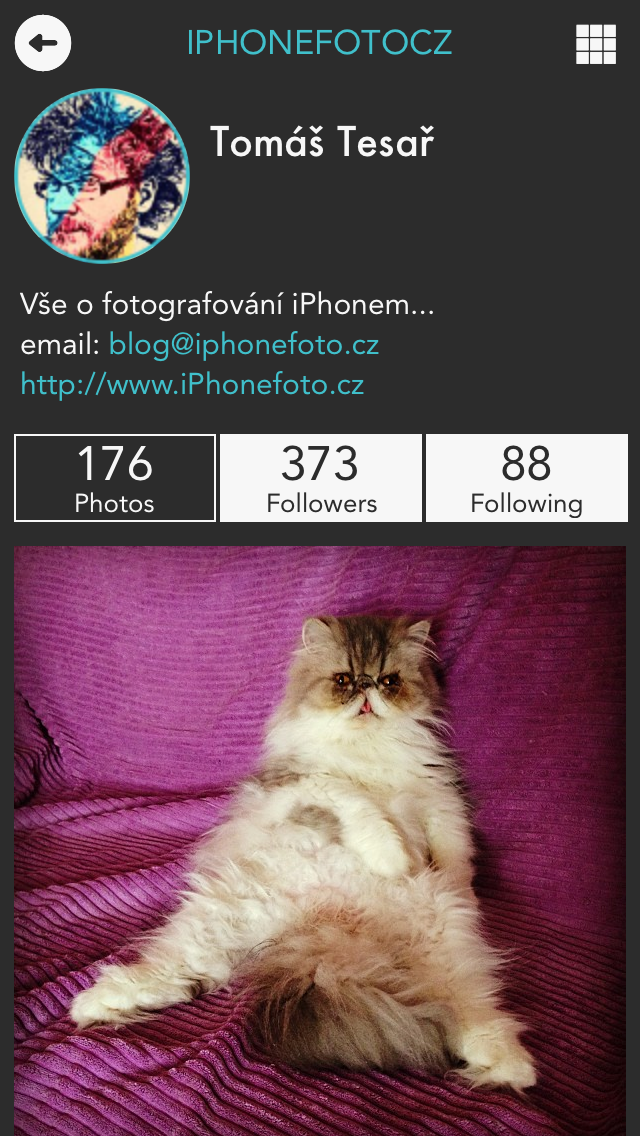 Gramatica app foto 1