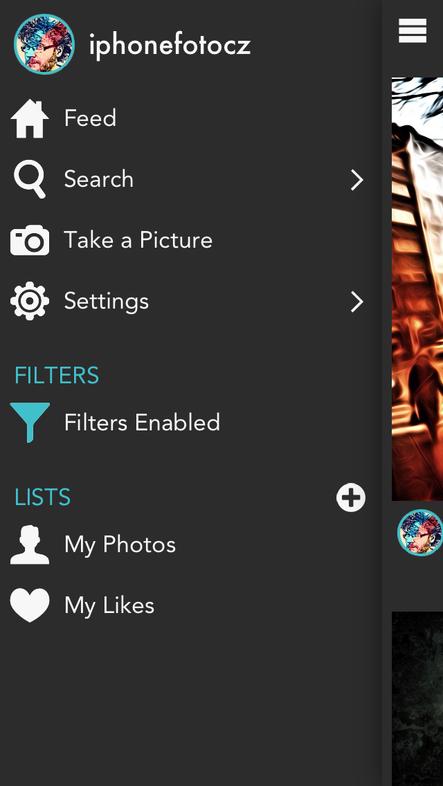 Gramatica app foto 2