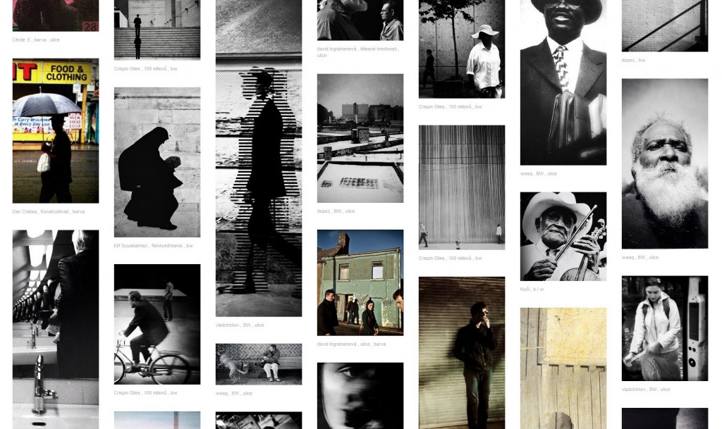 TINY COLLECTIVE foto hlavni