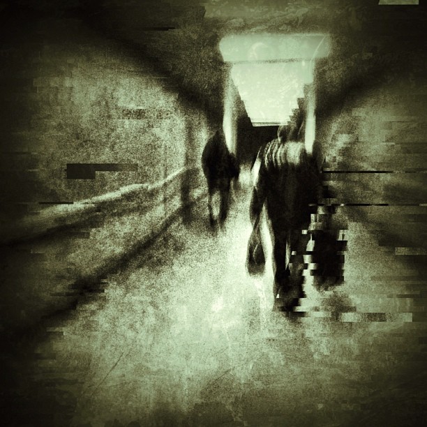 Insta projekt editorsky vyber 1